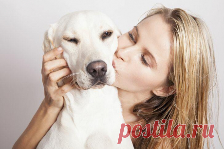 12 Вещей, Которые Мы Делаем, Которые Собаки Абсолютно Ненавидят
Существует довольно много способов вывести наших собак из себя, даже не осознавая этого. Сегодня хотел бы рассказать вам о 12 из этих раздражающих привычек, которые нашим любимым питомцам совсем не нравятся. Обнимание собаки © Frekvence 1 Мы можем думать, что нет ничего плохого в том, чтобы обнимать своих питомцев, но на самом деле большинство собак […]
Читай дальше на сайте. Жми подробнее ➡