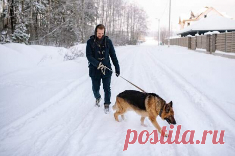 5 способов, которые помогут собаке оставаться чистой на прогулке - Уши, лапы, хвост
                                             - 7 декабря
                                             - 43233342166 - Медиаплатформа МирТесен Вместе с радостью долгих прогулок по заснеженным паркам зима приносит собаководам новые заботы – на каждом шагу можно встретить слякоть или грязь. Поэтому перед ними встает вопрос, как же минимизировать загрязнения и сделать ежедневные прогулки комфор...