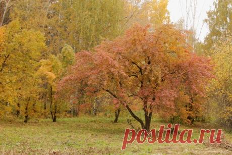 В любимом парке