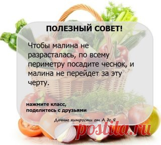Очень РЕДКО встречаешь такие СОВЕТЫ. 
▂ ▂ ▂ ▂ ▂ ▂ ▂ ▂ ▂ ▂ ▂ ▂ ▂ ▂ ▂ ▂ ▂ ▂ ▂ ▂ ▂ ▂ ▂ 
Чтобы ПОЛУЧИТЬ и не ПОТЕРЯТЬ СОВЕТ, жмите 