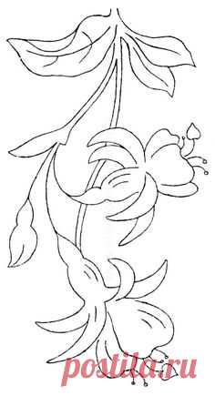 Good drawing for an embroidery project