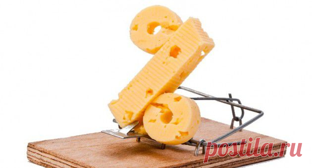 Создание и продвижение сайтов - Отзыв о moi-shop.com. Бесплатный сыр бывает только...