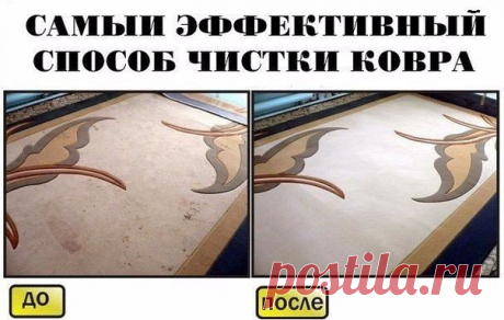 Фотографии на стене сообщества | 6 019 фотографий