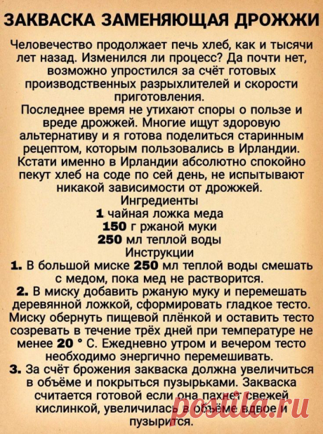 Закваска заменяющая дрожжи