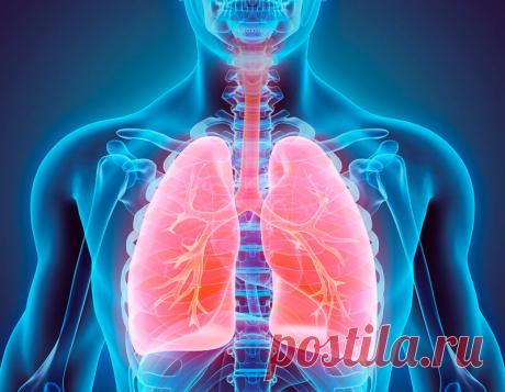 Как очистить легкие и бронхи: 2 способа