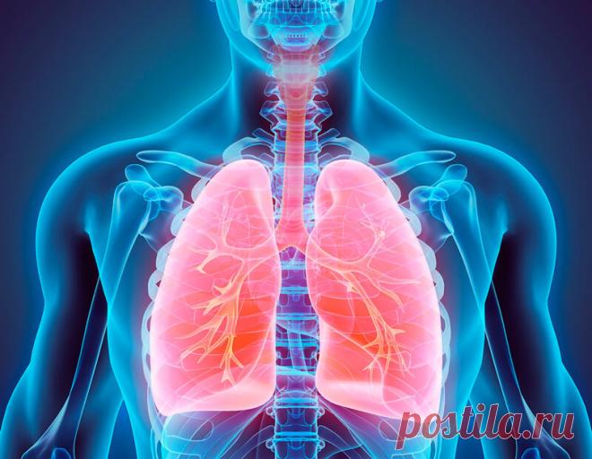Как очистить легкие и бронхи: 2 способа