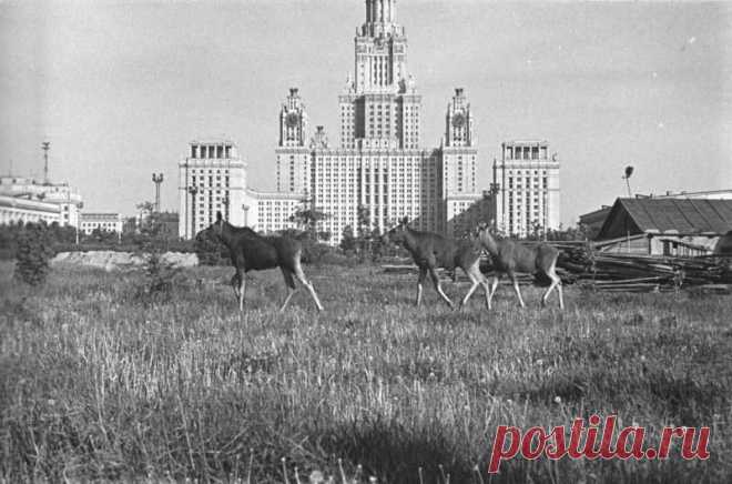 Уникальные кадры нашей истории XIX и XX век