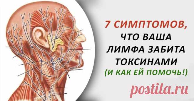 7 симптомов, что ваша лимфа забита токсинами... 
Одна из самых важных вещей для здоровья каждого, — это удаление токсинов из организма. В организме есть много систем, органов и желез, которые несут ответственность за уничтожение токсинов. Но, многи…