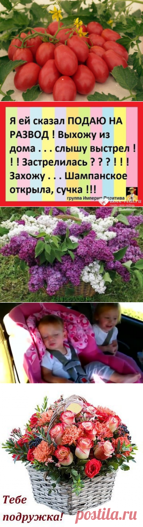 (56) Одноклассники