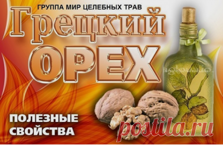 (3) Одноклассники