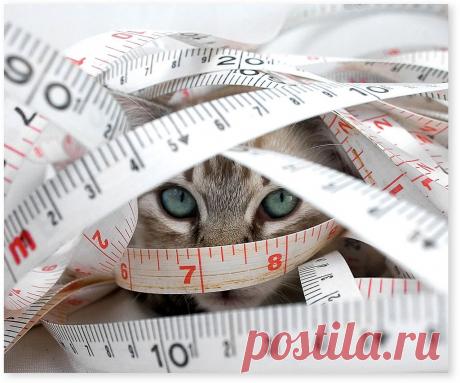 I know you're there | Flickr - Photo Sharing!