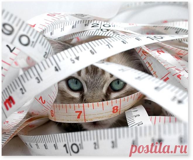 I know you're there | Flickr - Photo Sharing!