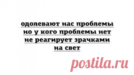 SociaL о Бизнесе и не только!