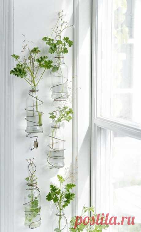 30 Vertical Wall Planter Pots Ideas