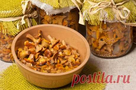 Маринованые лисички
https://ivona.bigmir.net/cooking/toowners/397499-Kak-prigotovit--marinovannye-lisichki-na-zimu