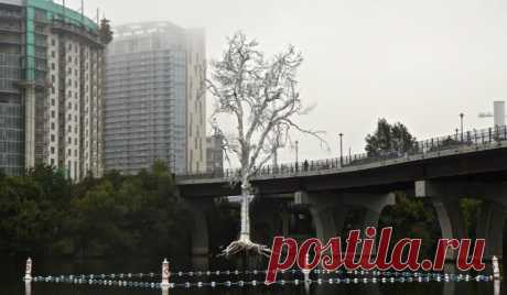 «THIRST» («ЖАЖДА») - экологическая инсталляция в центре озера