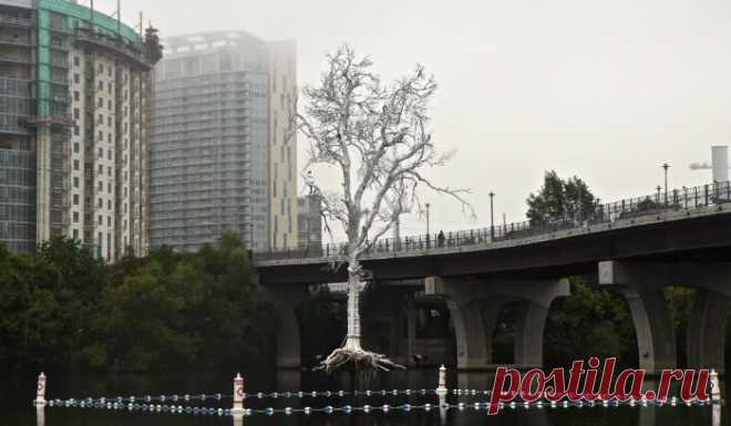 «THIRST» («ЖАЖДА») - экологическая инсталляция в центре озера