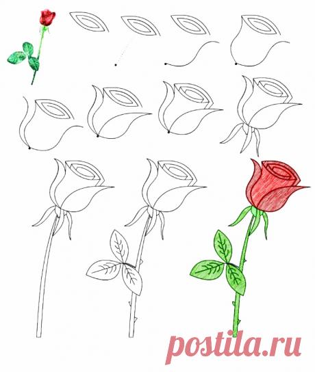 Легкие рисунки карандашом