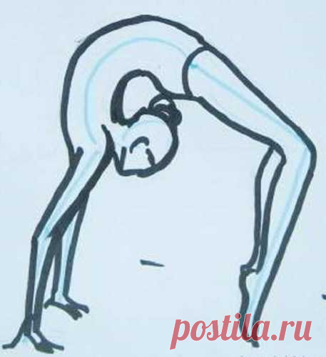 Развиваем гибкость — Домашние