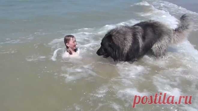 НЯНЬКА