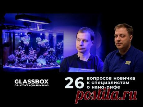 26 вопросов новичка про морской аквариум. - YouTube