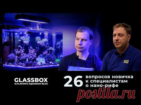 26 вопросов новичка про морской аквариум. - YouTube