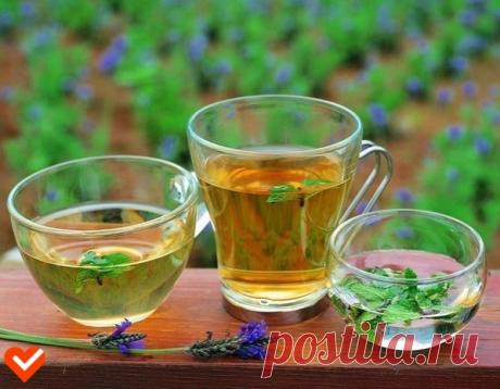 Сахарный диабет – лечение и профилактика народными средствами | Всегда в форме!