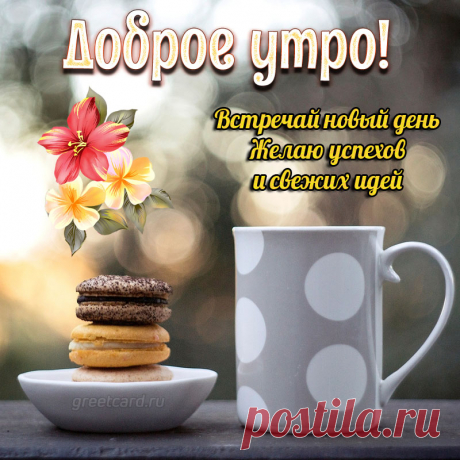 С Добрым утром, просыпайся.
Посмотри скорей в окно.
В лучах солнца искупайся,
Ведь грустить запрещено!
