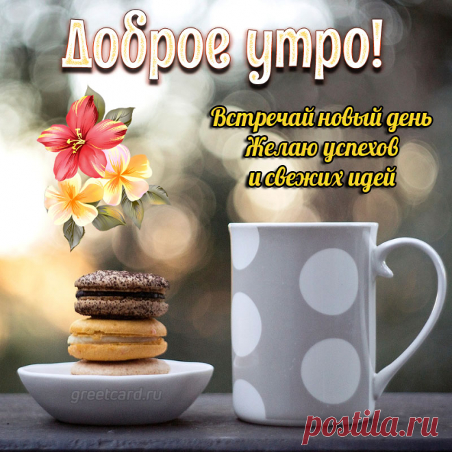 С Добрым утром, просыпайся.
Посмотри скорей в окно.
В лучах солнца искупайся,
Ведь грустить запрещено!