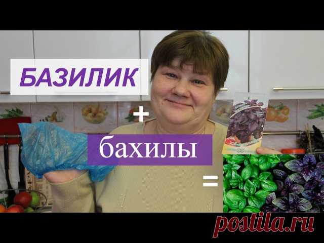 Базилик - новый эффективный способ посадки

Смотрите в этом видео о сроках посадки базилика, а также новый способ посадки рассады базилика. Этим способом также можно посеять на рассаду не только базилик, но и лук-порей, мелису, мяту и другие культуры. Способ очень эффективен, хорош особенно для тех, у кого мало земли, растения чувствуют себя хорошо и радуют Вас всходами. Крепкой Вам рассады и отличного урожая!

Хотите больше болезных советов для дачников-огородников?
ПОДПИ...