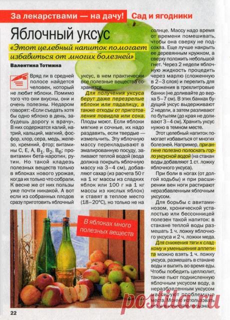 Яблочный уксус от болезней
