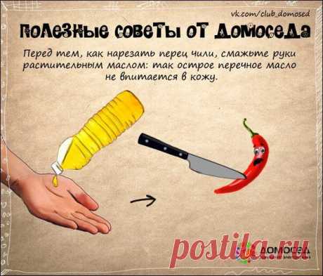 Хозяйке на заметку | Прикол.ру — приколы, картинки, фотки и розыгрыши!