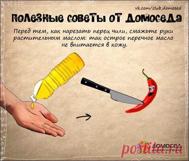 Хозяйке на заметку | Прикол.ру — приколы, картинки, фотки и розыгрыши!