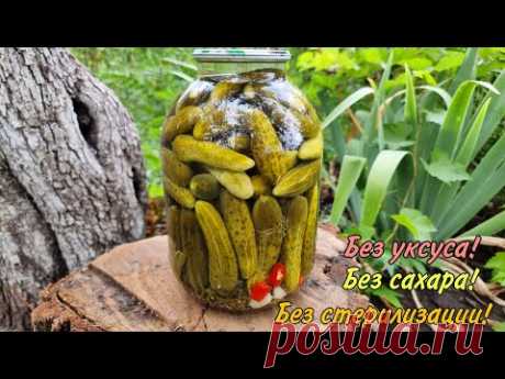 Холодный способ! Огурцы на зиму без уксуса, стерилизации и сахара! Хрустящие как из бочки!