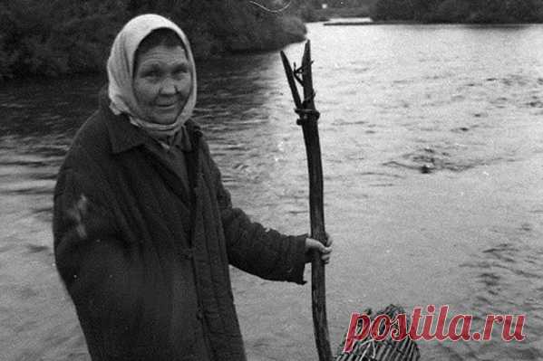В Пермском крае отшельница баба Сима в Вишерском заповеднике | 59.ru - новости Перми
