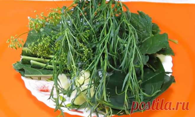 Сбалансированный вкус хрустящих огурцов. Простой рецепт
Добрый день, друзья! Что может быть вкусней, когда зимой откроешь баночку хрустящих огурцов, под жареную картошечку, да ничего! Сегодня готовим хрустящие, очень вкусные, маринованные огурчики на зиму. В них сбалансировано все, огурчики получаются кисло-сладкие, с ароматом пряных трав, они просто чудо. РЕЦЕПТ НА 1 ЛИТРОВУЮ БАНКУ: Огурцы — 600 — 650 (гр) Листья вишни, смородины, […]
Читай пост далее на сайте. Жми ⏫ссылку выше