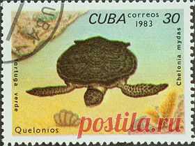 cuba_