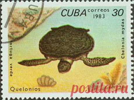 cuba_
