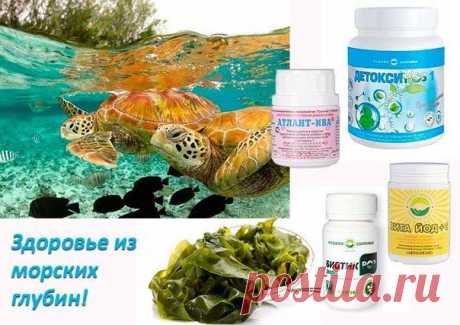 О красоте, здоровье, успехе


✿✿✿☝ ✔КОЛИЧЕСТВО ЙОДА В РАЦИОНЕ НЕОБХОДИМО УВЕЛИЧИВАТЬ!