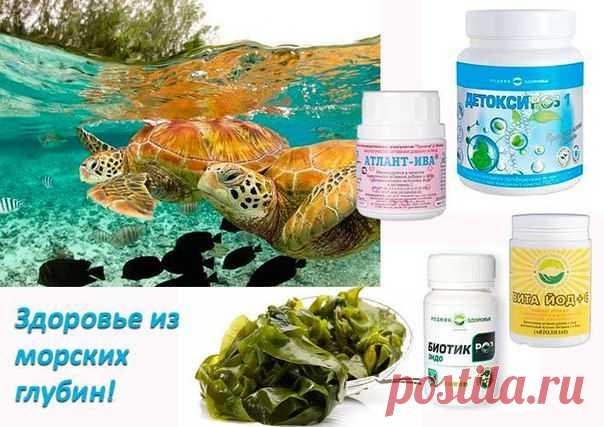 О красоте, здоровье, успехе


✿✿✿☝ ✔КОЛИЧЕСТВО ЙОДА В РАЦИОНЕ НЕОБХОДИМО УВЕЛИЧИВАТЬ!