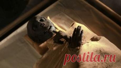 Британские ученые узнали, когда появились первые древнеегипетские мумииНовости Сибири | Новости Сибири