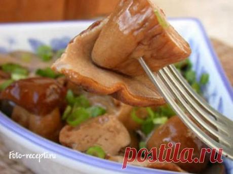 Рецепты консервирования грибов на зиму