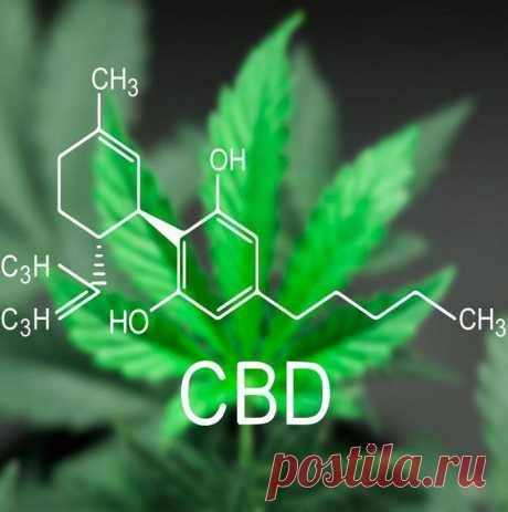 Тематическое исследование показывает, что КБД уменьшает опухоли
  ✅Конопля многие годы традиционно использовалась в естественной медицине. Термин медицинская марихуана...
Читай дальше на сайте. Жми подробнее ➡