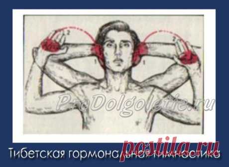 Тибетская гормональная гимнастика