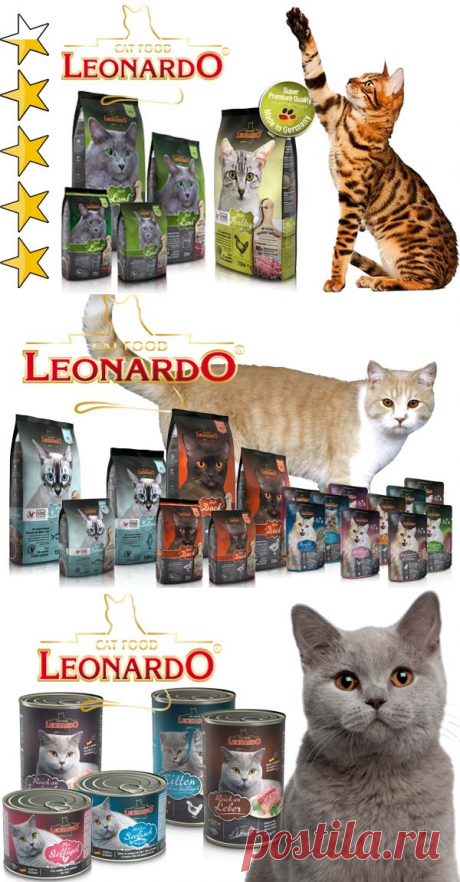 Корм для кошек Леонардо (Leonardo): обзор, виды, состав, отзывы