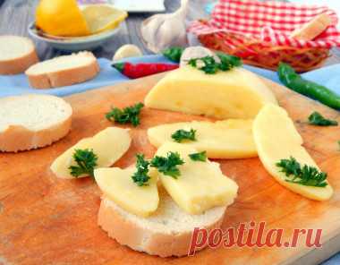 Твердый сыр из молока в домашних условиях рецепт с фото пошагово - 1000.menu