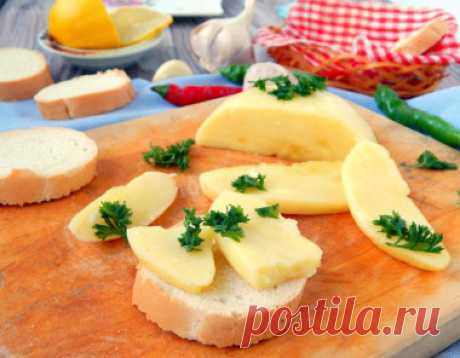 Твердый сыр из молока в домашних условиях рецепт с фото пошагово - 1000.menu