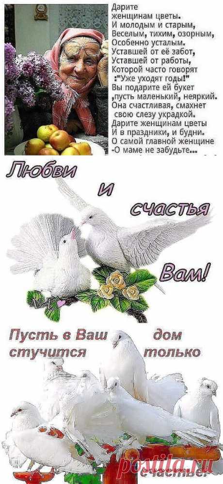 (46) Одноклассники