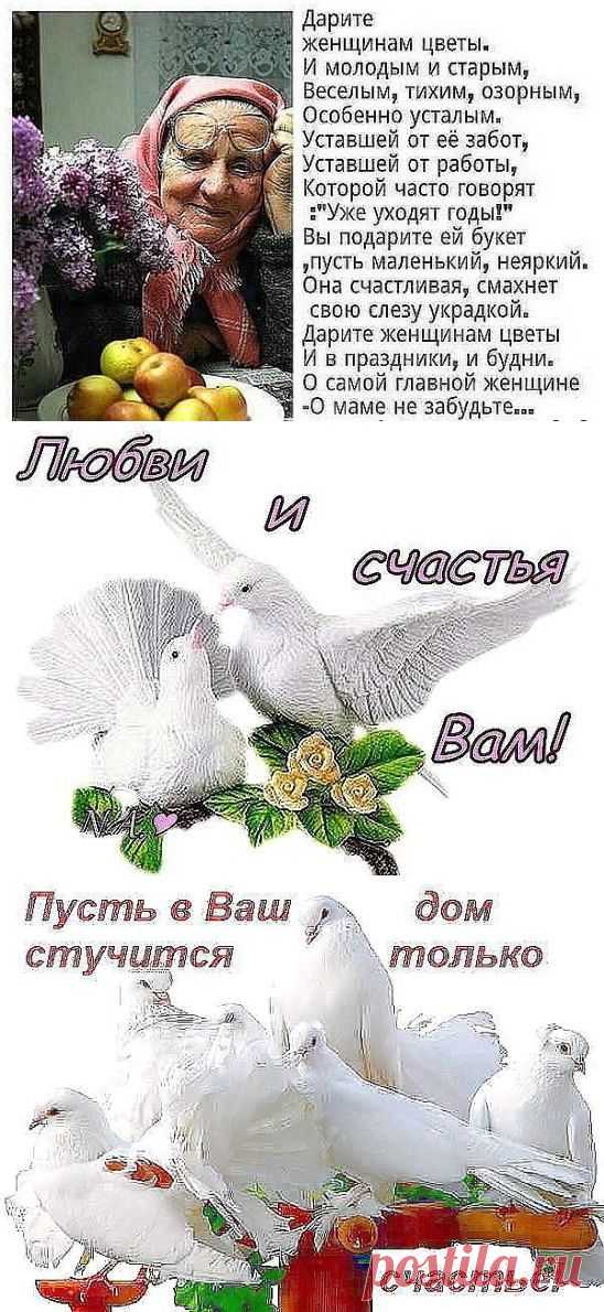 (46) Одноклассники