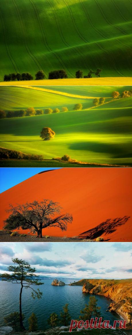 Впечатляющие пейзажи - Наука и жизнь